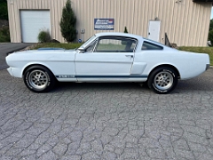 May 2024 at American Mustangs